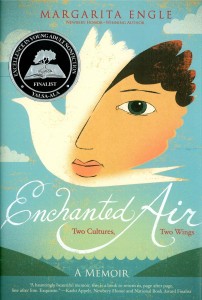 Enchanted Air